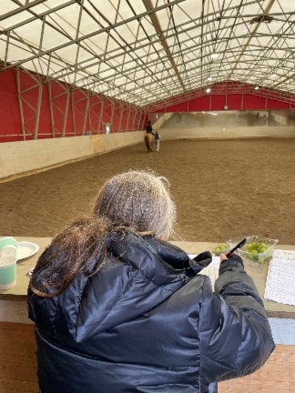 Image for Best med Hest 2025